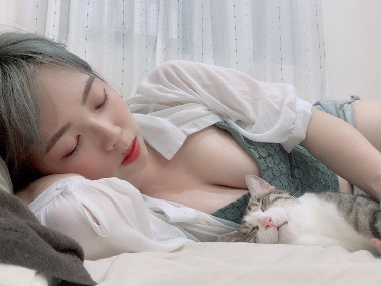 Just Sleeping with Her Adorable Cat on Stream, the Sexy Female Streamer Still Attracts Thousands of Followers, Impossible to Look Away 2 photo 1 1595785572776507810047 1747890009471 1747890009540240516337 1747897932475 1747897932599170063874