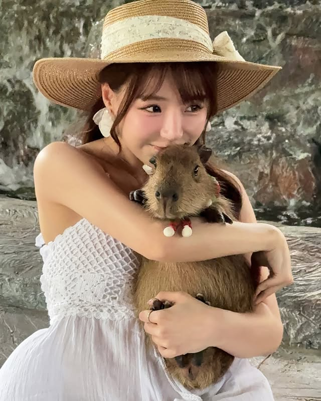 Traveling, Beautiful YouTuber Encounters an Unexpected Incident 3 photo 1749192315802 17491923159431874511117 1750301841085 17503018411691416788286 1750306314393 17503063145131171786157