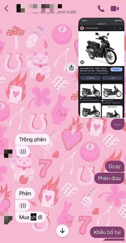 The Shocking Case of the Vietnamese "Fat Cat", Leaving Netizens Heartbroken! 3 Messages of 'demand' from the girlfriend.