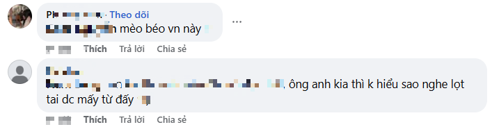 The Shocking Case of the Vietnamese "Fat Cat", Leaving Netizens Heartbroken! 6 edit screenshot 2025 07 08 102022 17519458904061902139812 1751948635515 1751948635684910860757