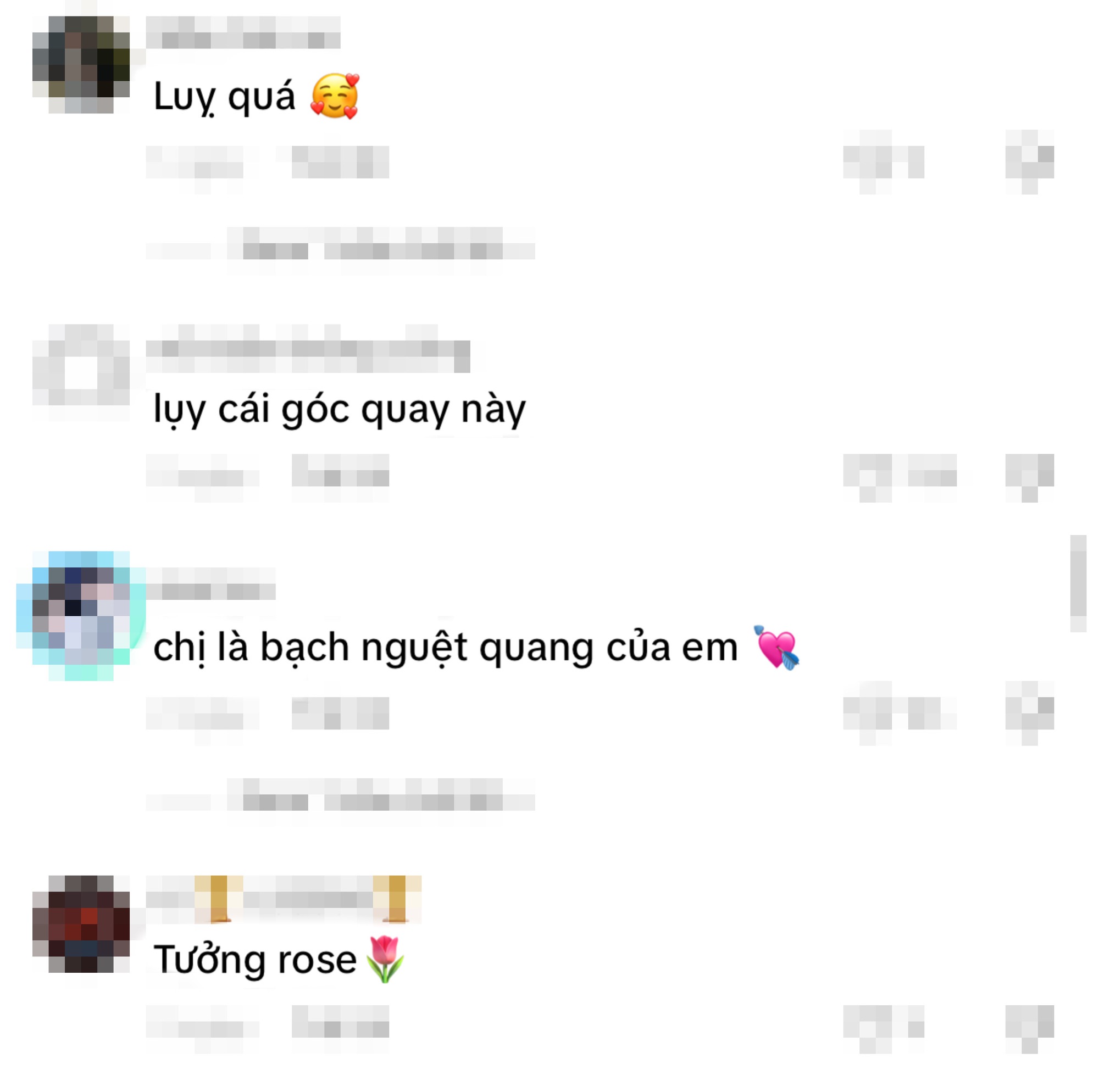 Setting the Camera at a Million Views Angle, the Vietnamese Rosé Leaves Everyone in Awe 8 anh 7 1 175826855325535316806 1758272570933 17582725712631445771279