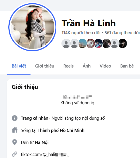 The Deceptive Scheme for Profit: The Sophisticated Hoax Named Trần Hà Linh "Fake" 5 Official personal page.
