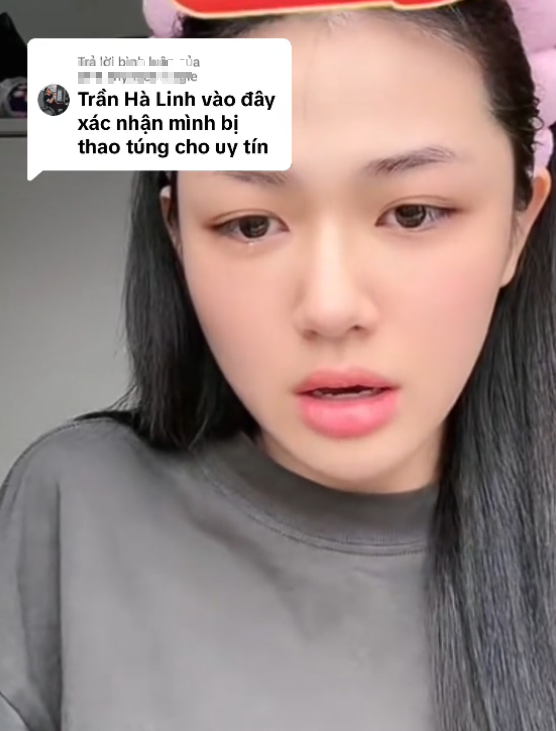 The Deceptive Scheme for Profit: The Sophisticated Hoax Named Trần Hà Linh "Fake" 4 t screenshot 2025 09 09 113203 1757392472826827033729 1757402774957 17574027764831293944307 1757907653414 17579076556131667990611 1757912118893 1757912119058555732050